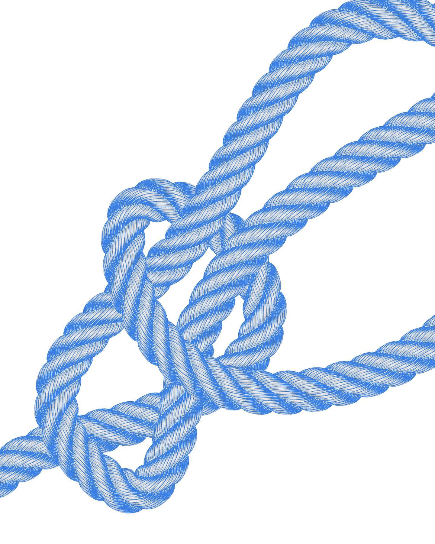 Thumbnail of p-cvla91tlps9-57a2e782ba524d9b 0