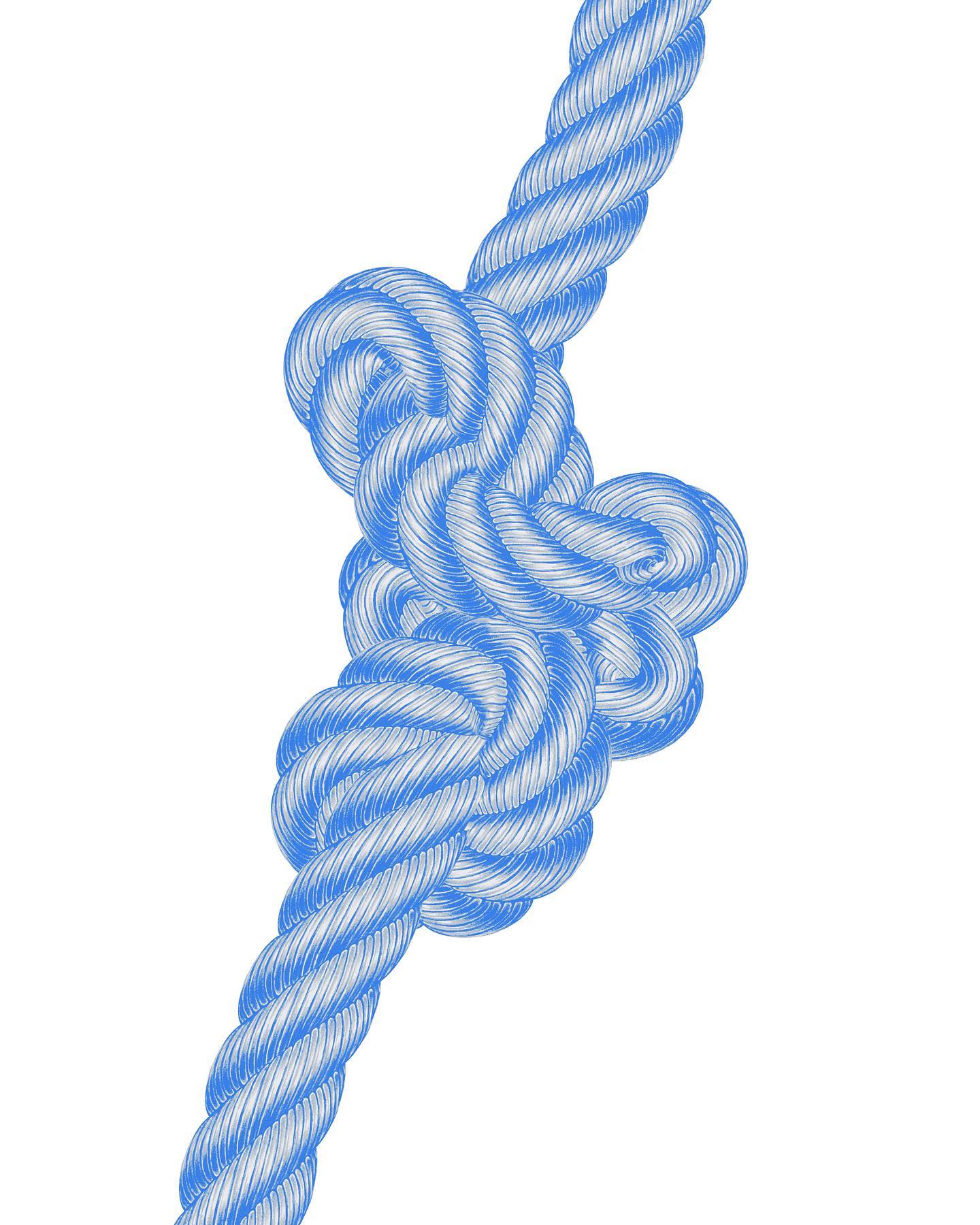 Thumbnail of p-cvla91tlps9-57a2e782ba524d9b 1