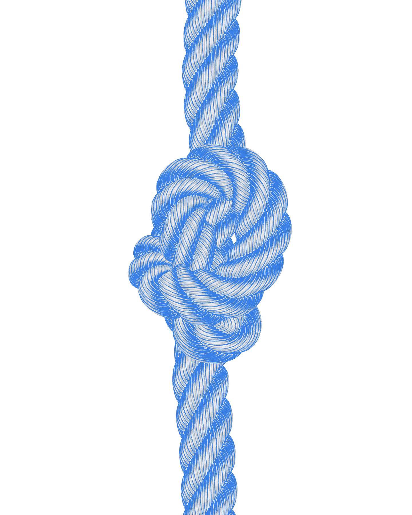 Thumbnail of p-cvla91tlps9-57a2e782ba524d9b 3