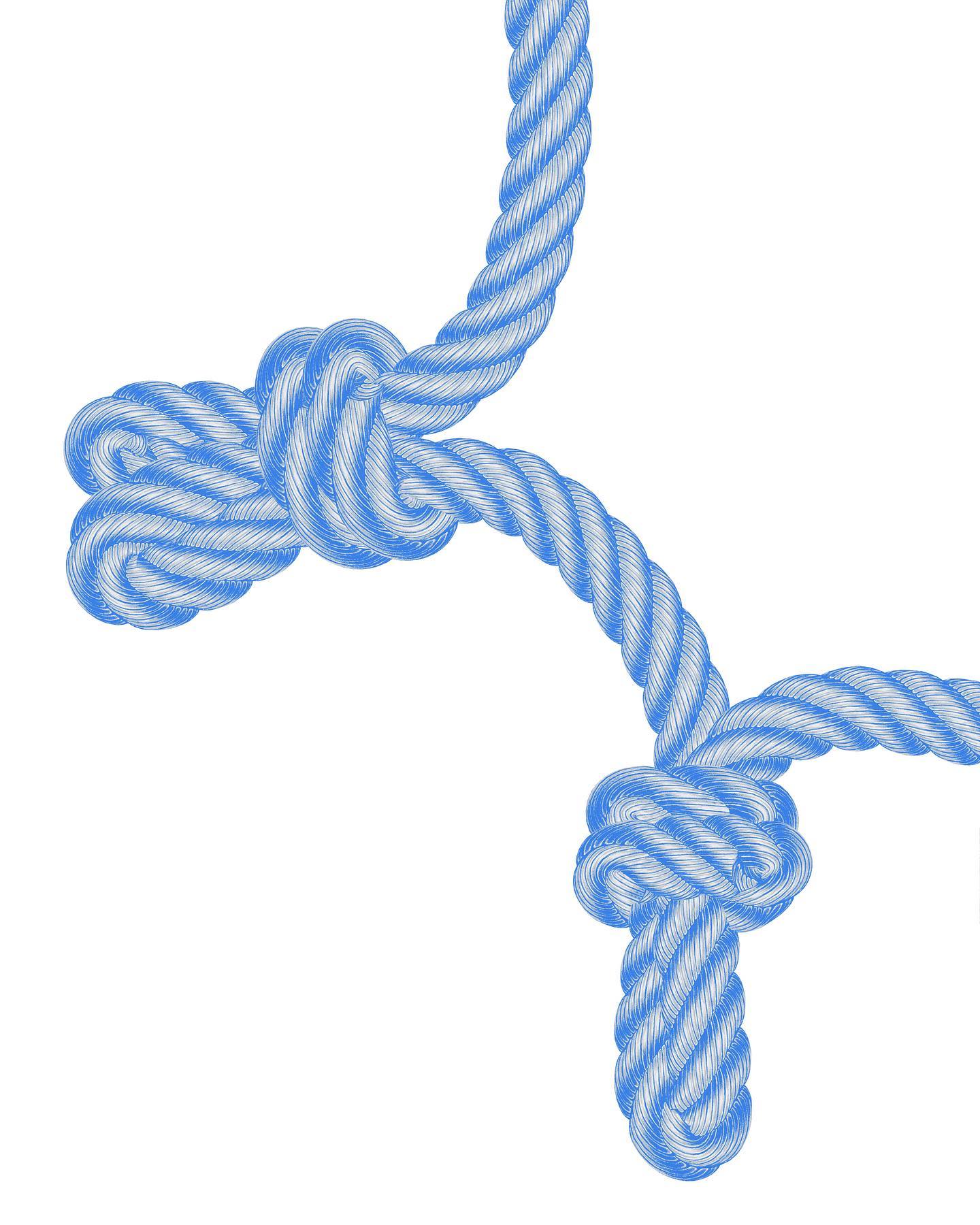 Thumbnail of p-cvla91tlps9-57a2e782ba524d9b 5