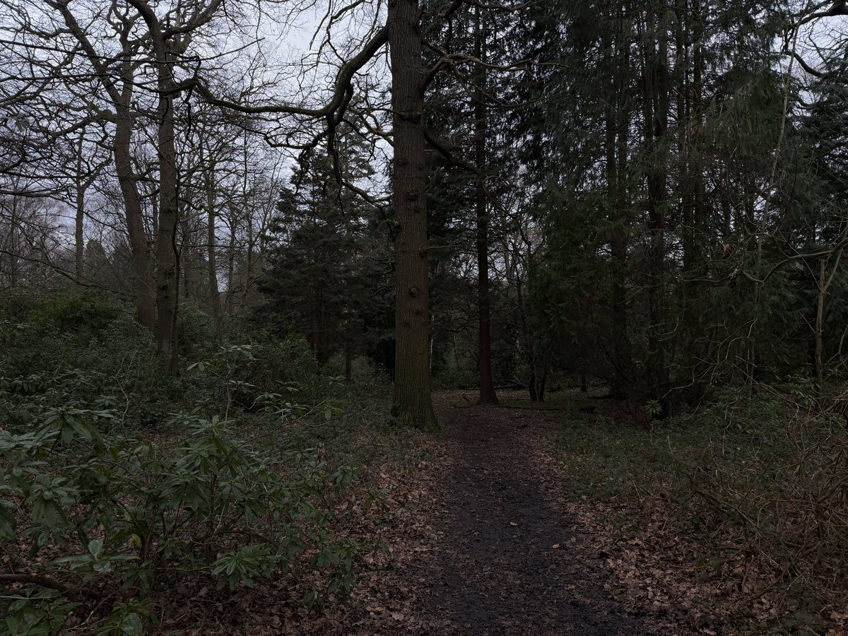 Thumbnail of www-x-com-hikingshawty-status-2025290609863360533