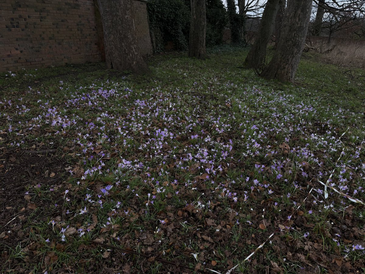 Thumbnail of www-x-com-hikingshawty-status-2025290609863360533