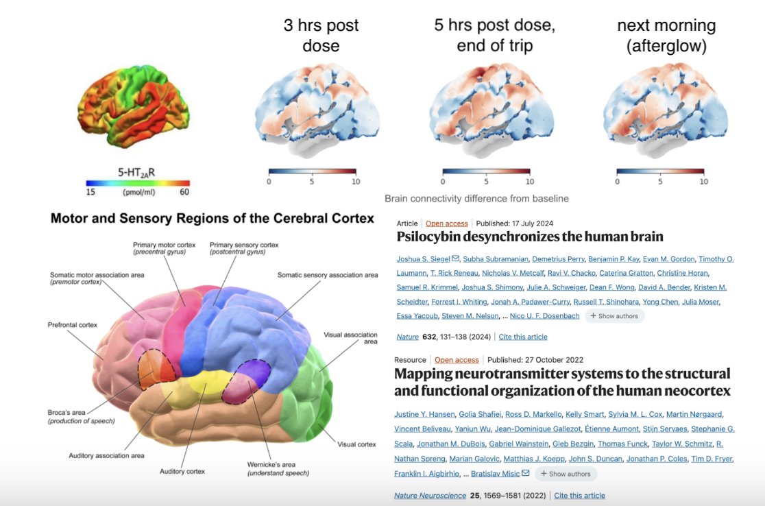 Thumbnail of www-x-com-bryan-johnson-status-1989794845557493932