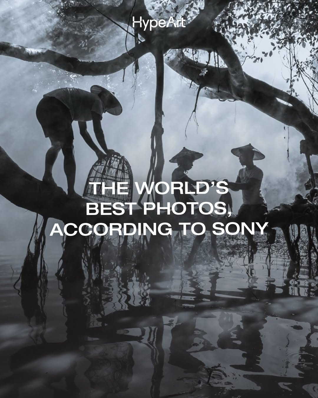 Thumbnail of www-instagram-com-p-dxpn3ckkxsy-img-index-4 0