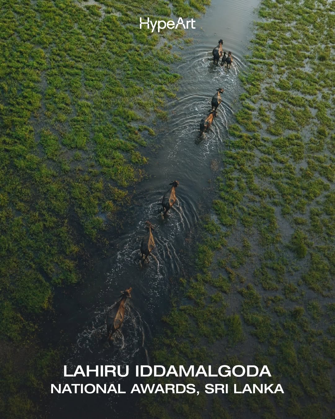 Thumbnail of www-instagram-com-p-dxpn3ckkxsy-img-index-4 11