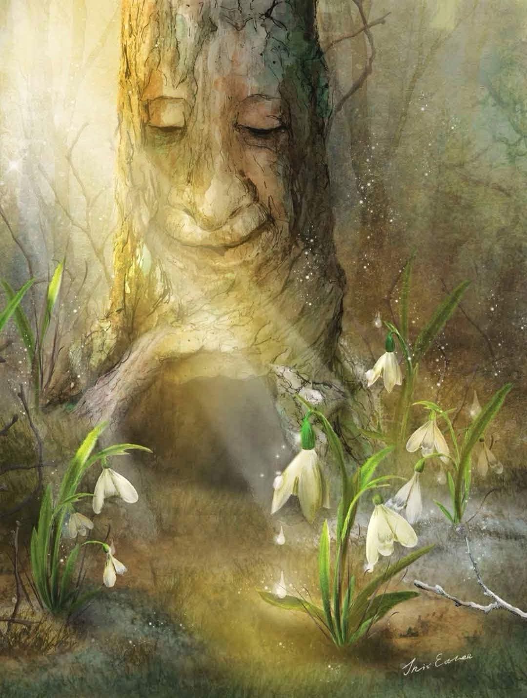 Thumbnail of my-herbalist-journey-myherbalistjourney 0