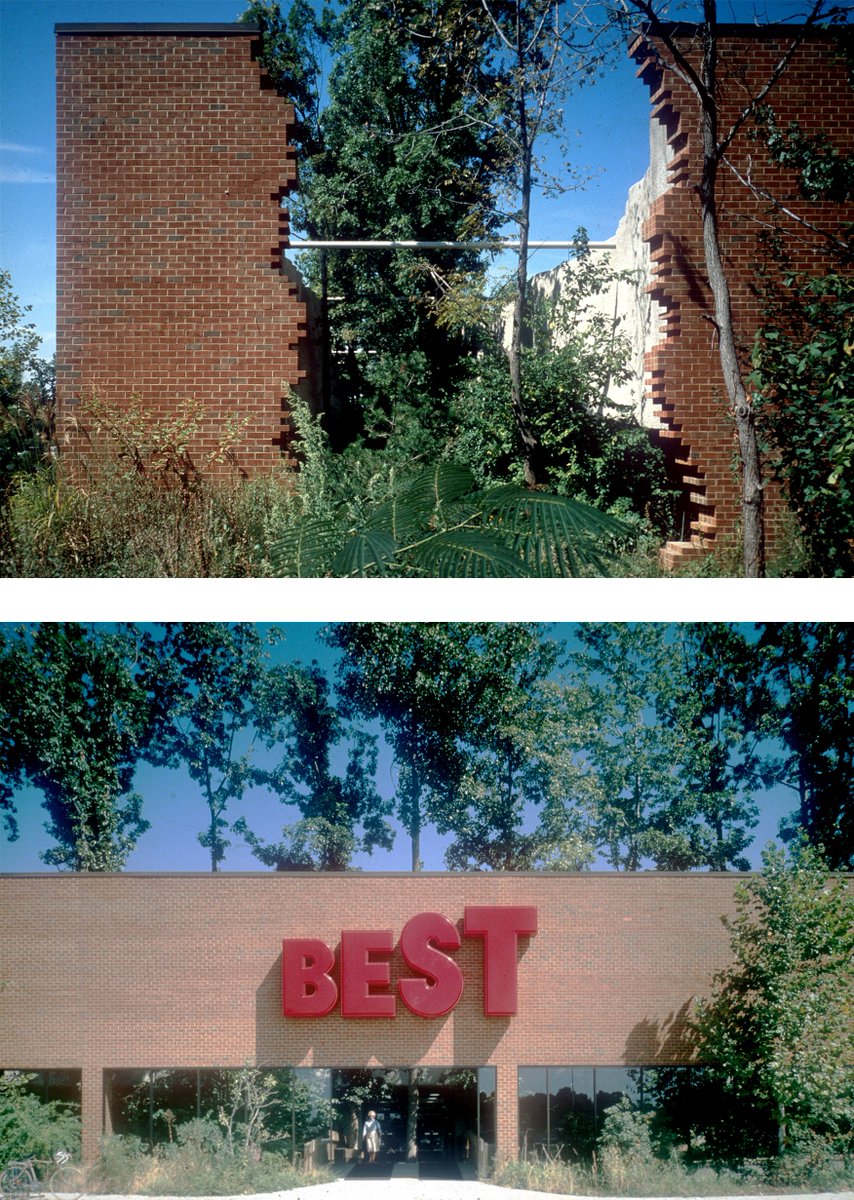 Thumbnail of www-x-com-shl0ms-status-1976324313411354858