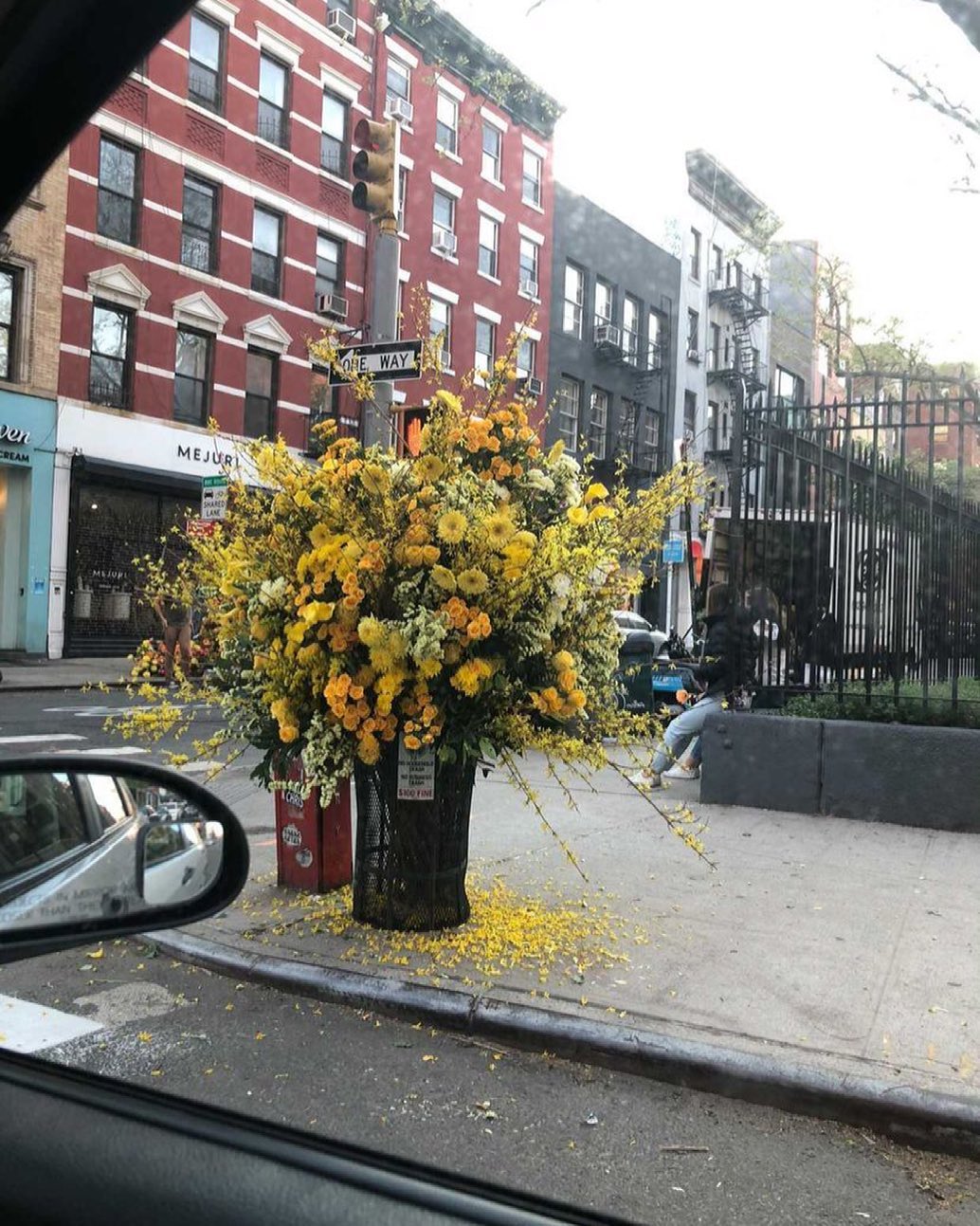 Thumbnail of p-colacjjnmb-595afc2fdca24515 0