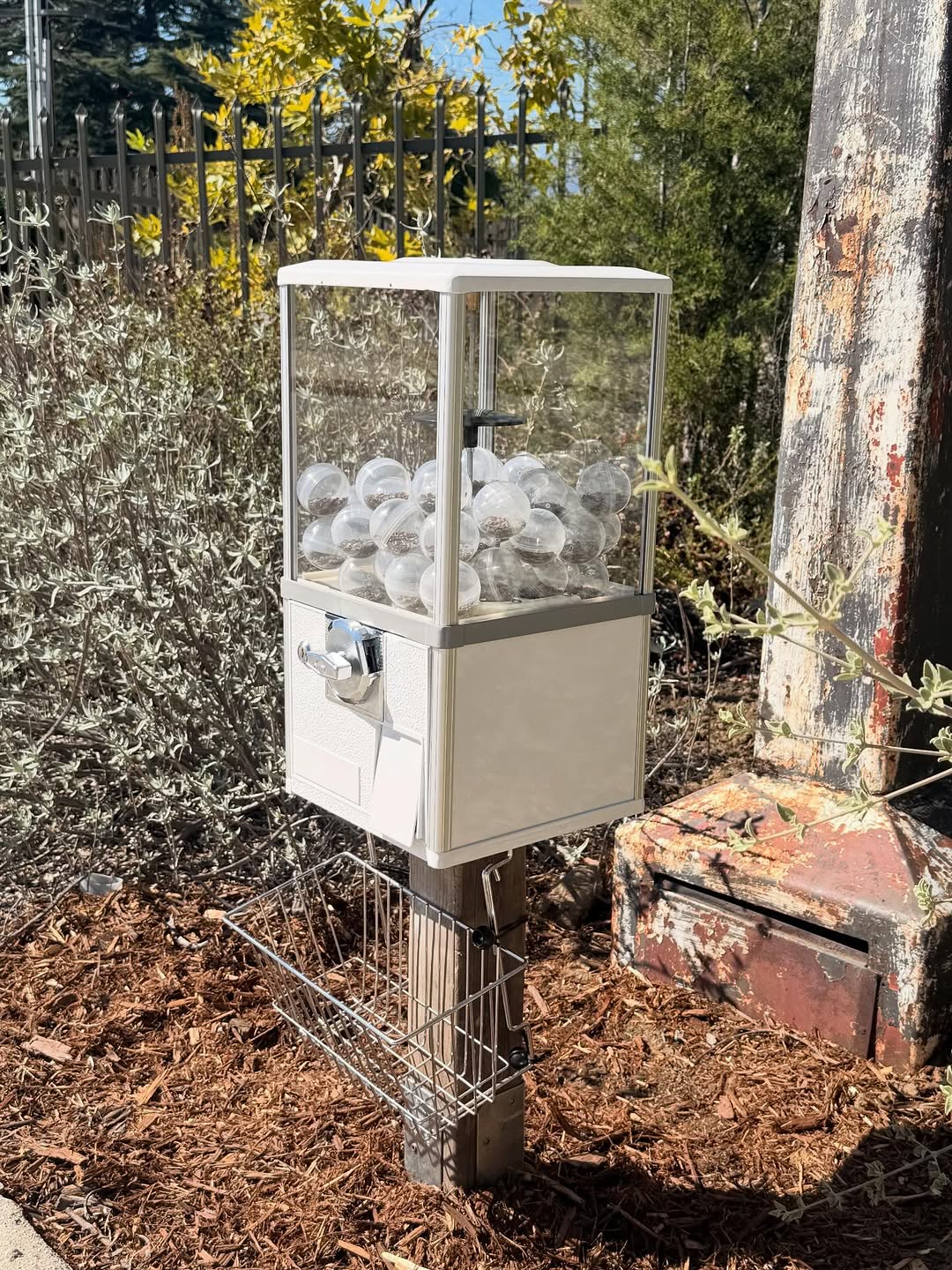 Thumbnail of www-instagram-com-p-dqnmjl8etzf-img-index-6 0