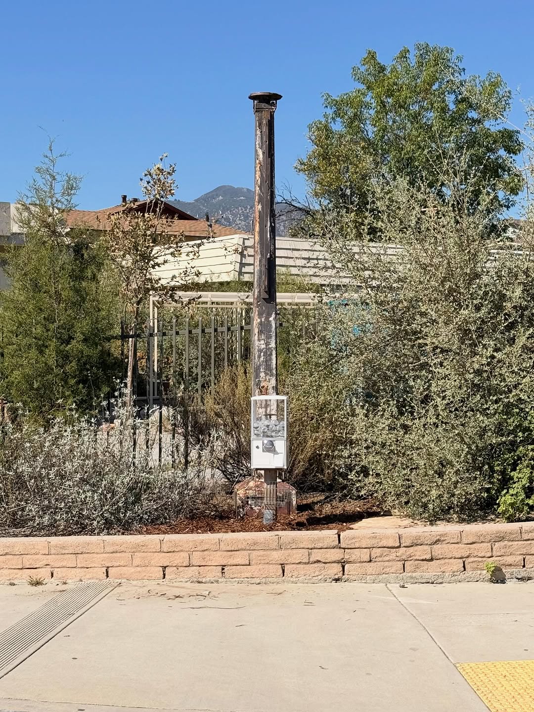 Thumbnail of www-instagram-com-p-dqnmjl8etzf-img-index-6 1