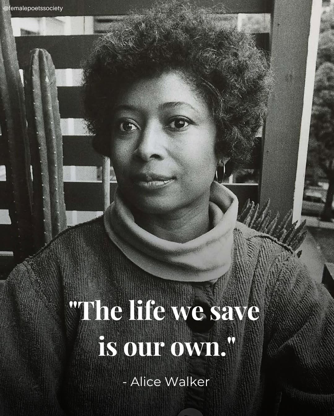 Thumbnail of instagram-5a93aef440f6490a 6