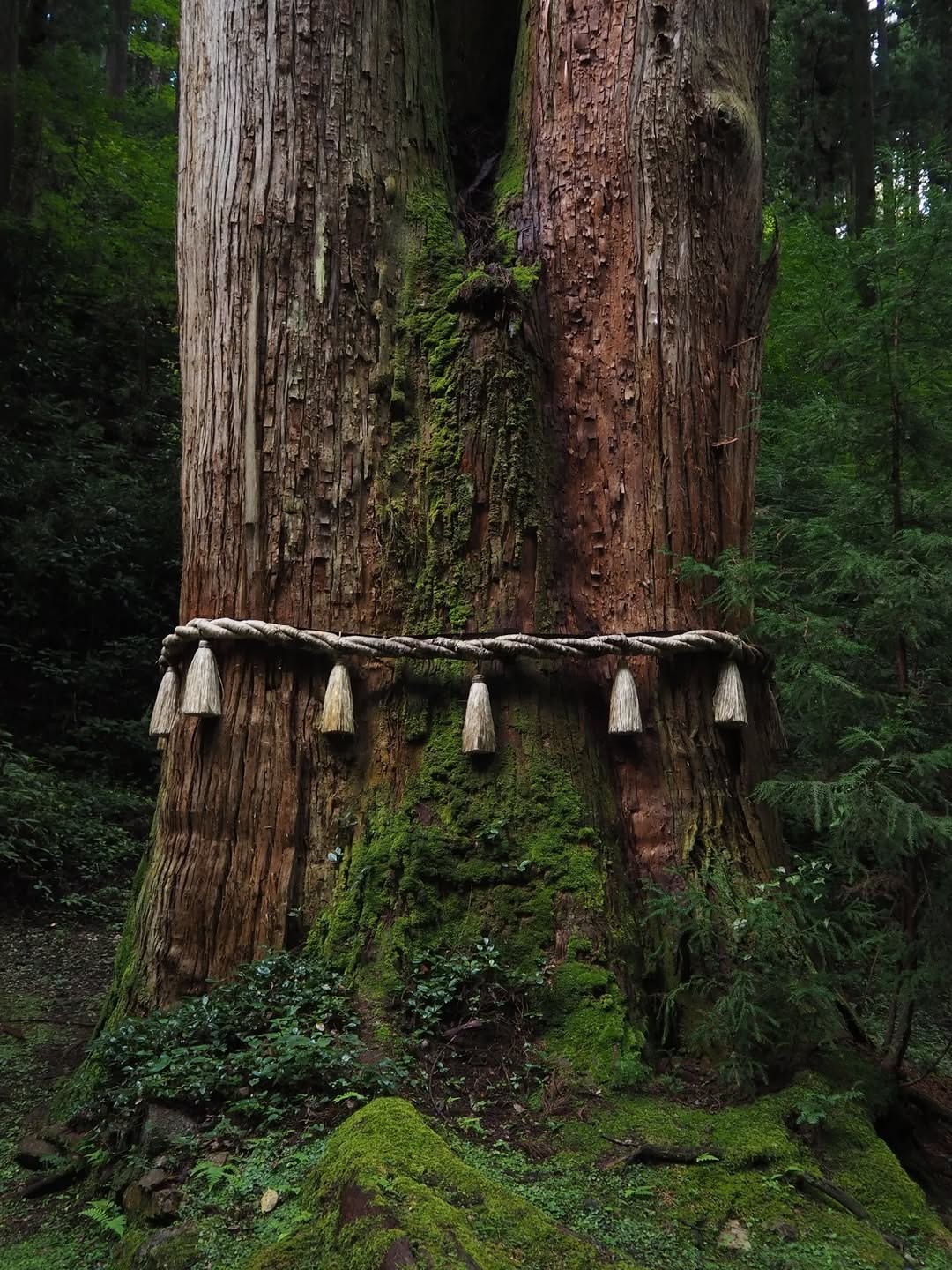 Thumbnail of www-instagram-com-p-dq-xgelaykb-img-index-4 0