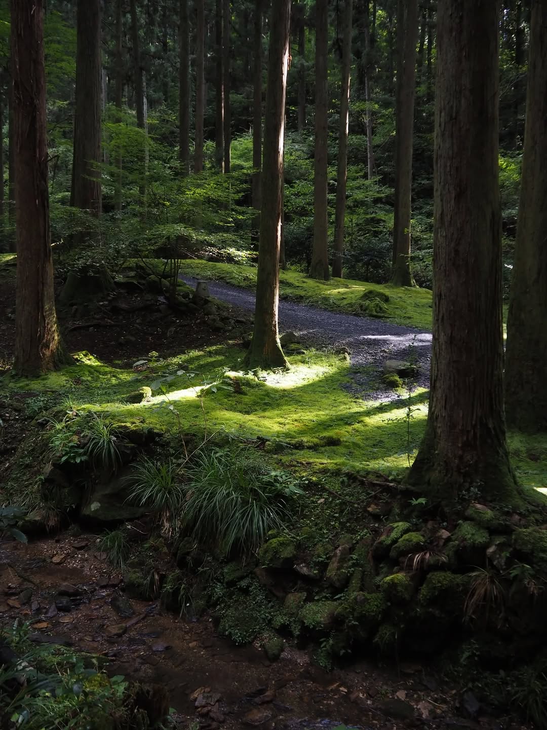 Thumbnail of www-instagram-com-p-dq-xgelaykb-img-index-4 1