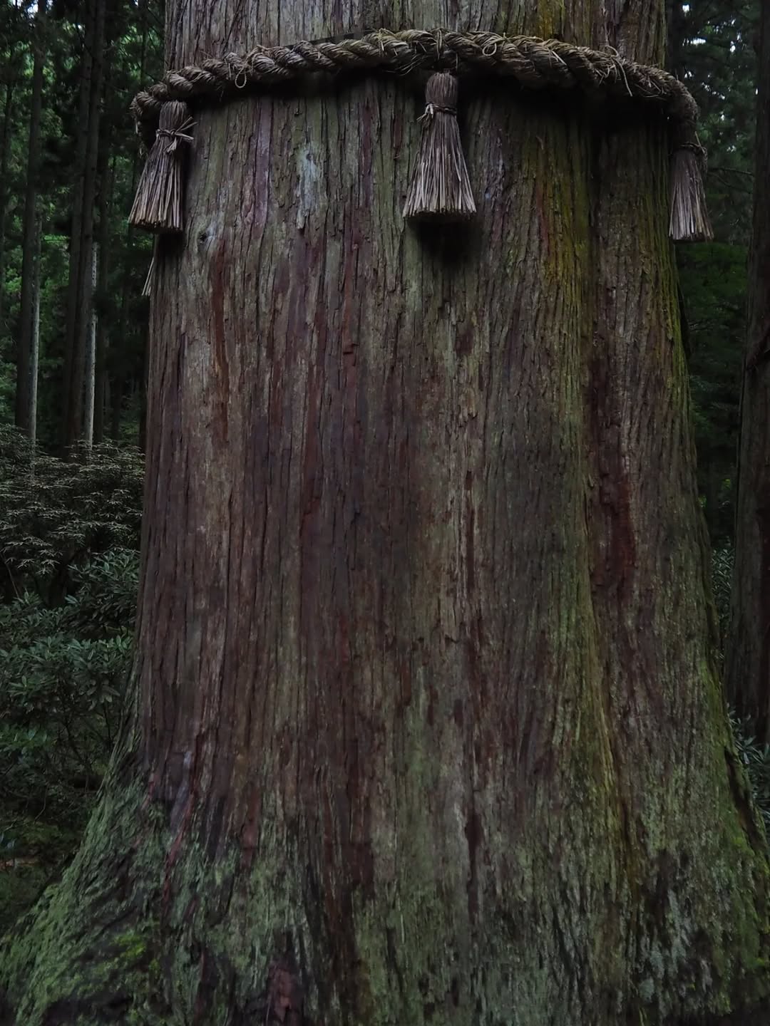 Thumbnail of www-instagram-com-p-dq-xgelaykb-img-index-4 4