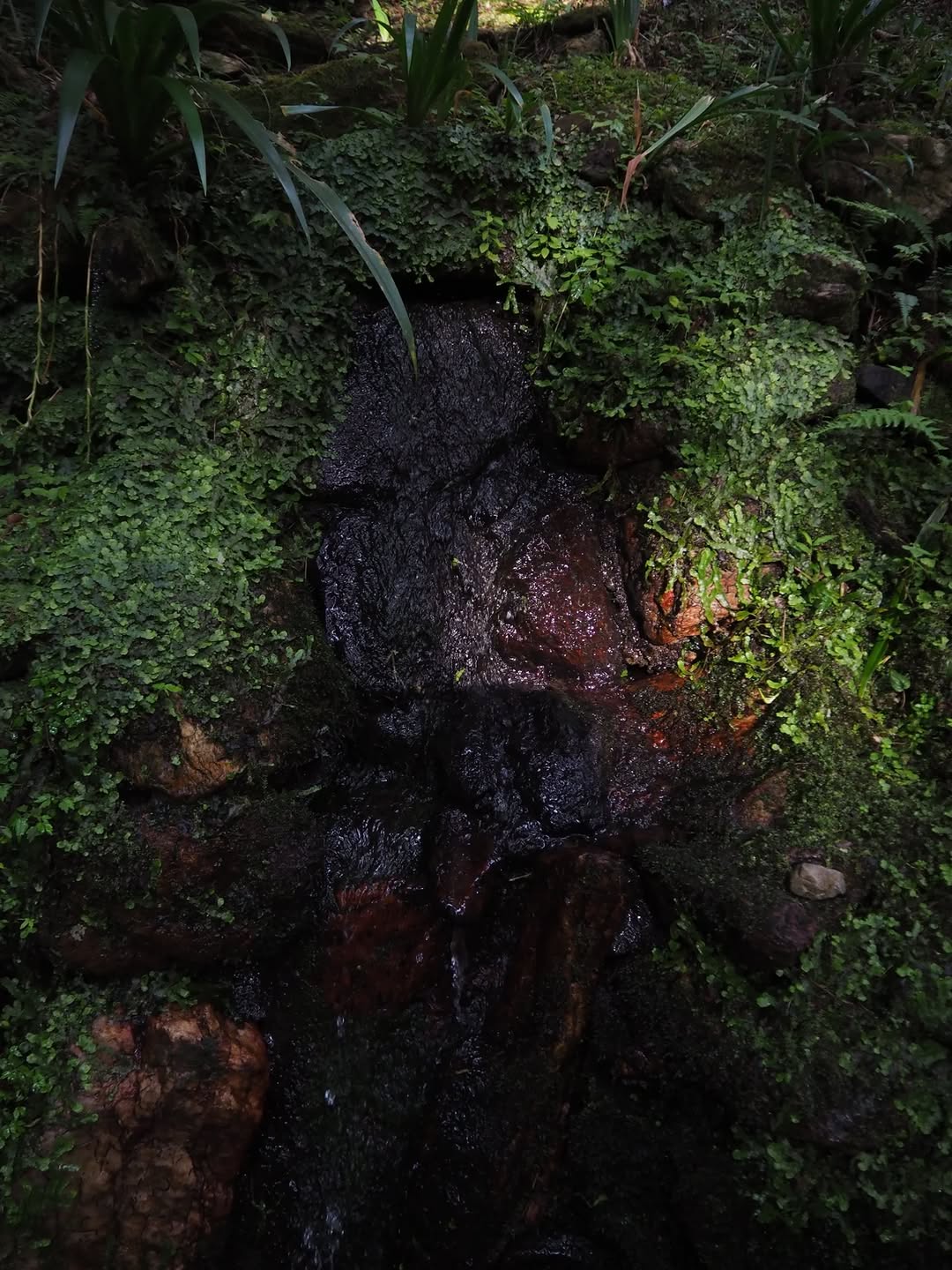 Thumbnail of www-instagram-com-p-dq-xgelaykb-img-index-4 5