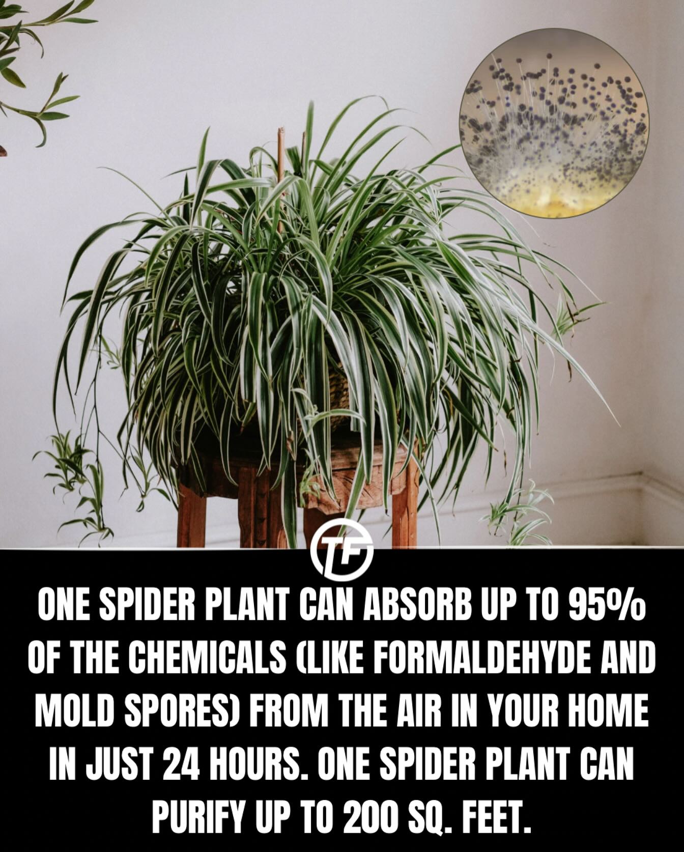 Thumbnail of dhy-g3bj4dd-5b208d75f19a46c1 0