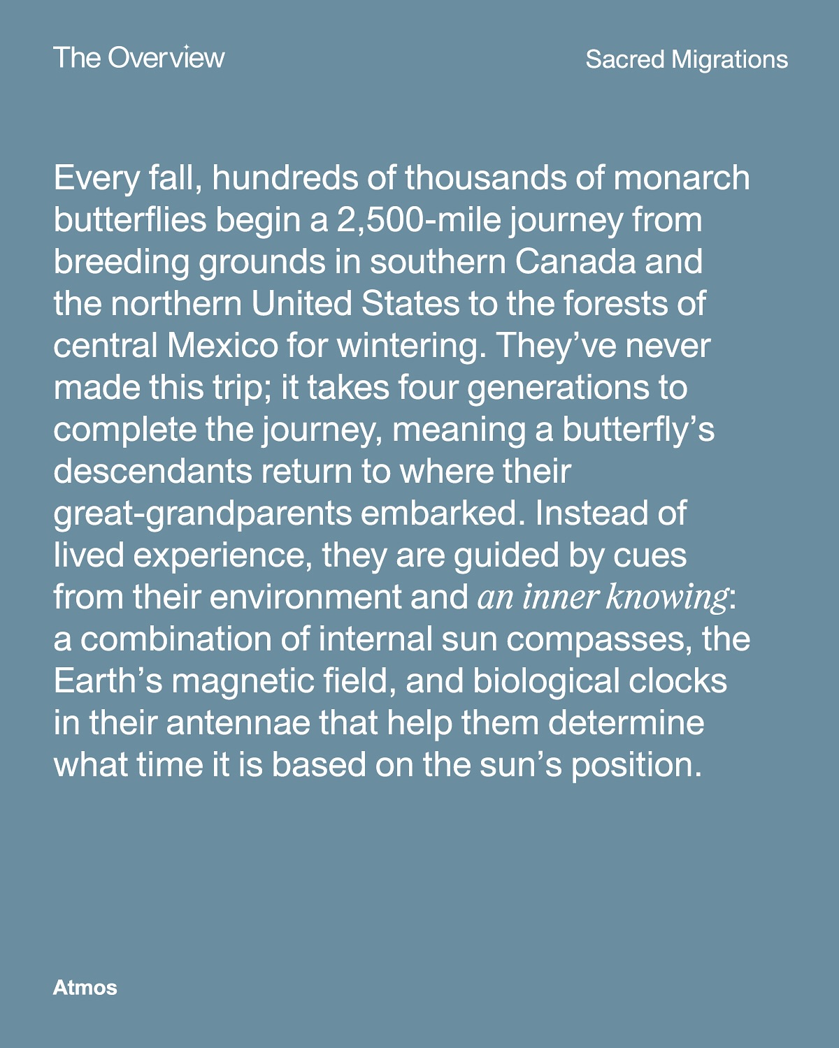 Thumbnail of p-dk18uingxoa-5c76c52baf5a48d4 3