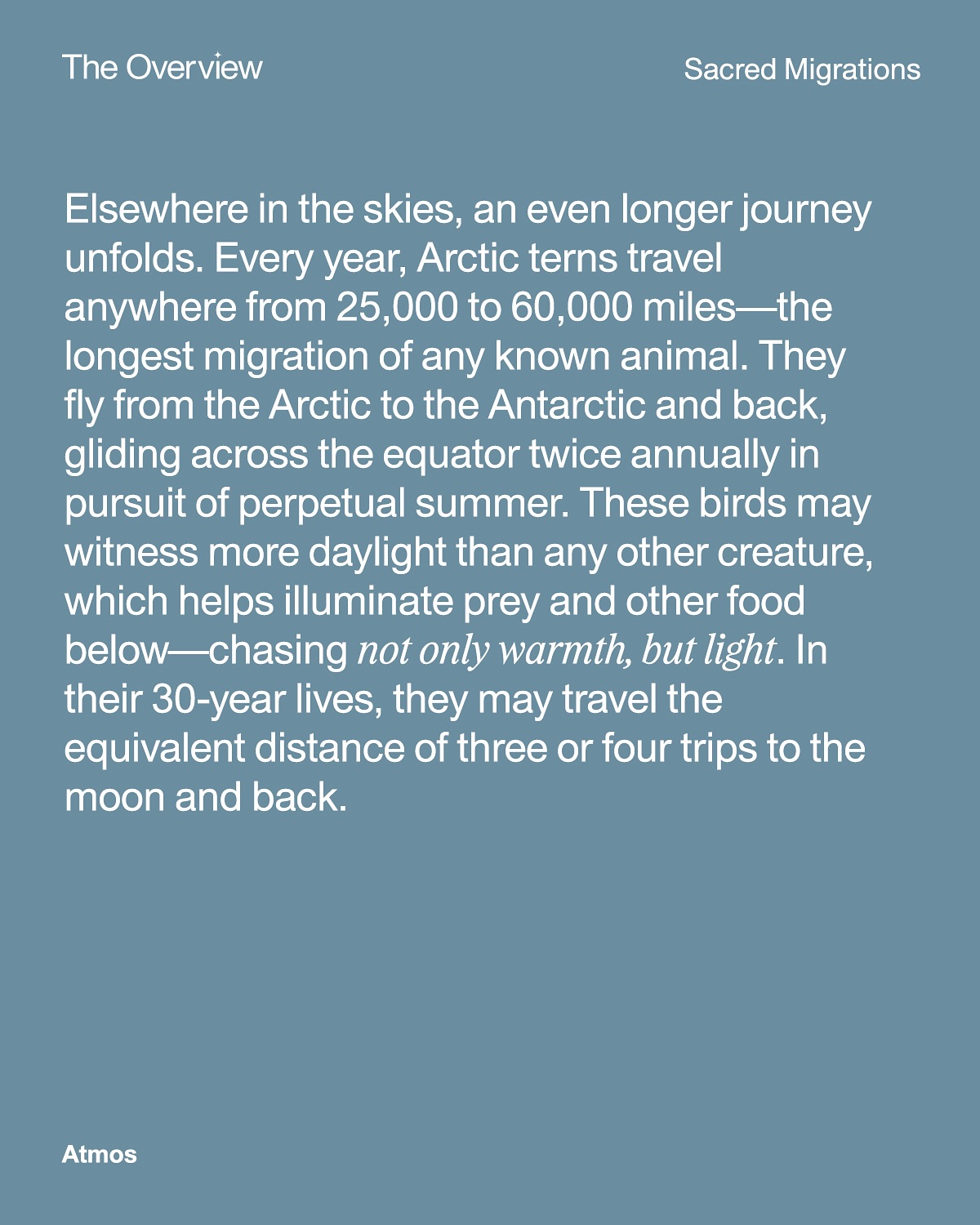 Thumbnail of p-dk18uingxoa-5c76c52baf5a48d4 4