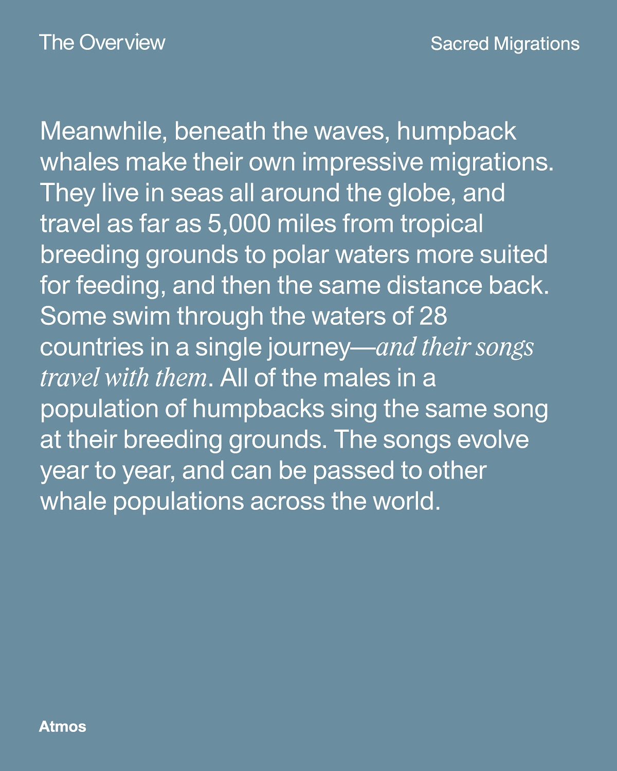 Thumbnail of p-dk18uingxoa-5c76c52baf5a48d4 5