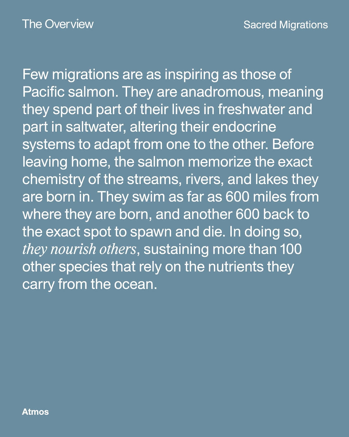 Thumbnail of p-dk18uingxoa-5c76c52baf5a48d4 6