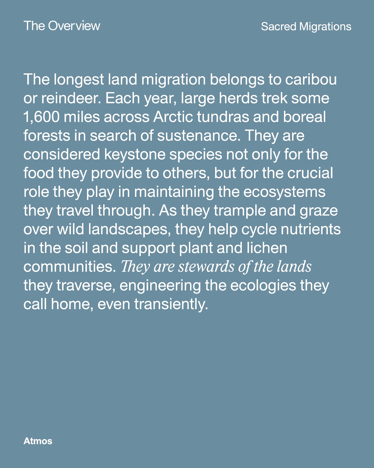 Thumbnail of p-dk18uingxoa-5c76c52baf5a48d4 7