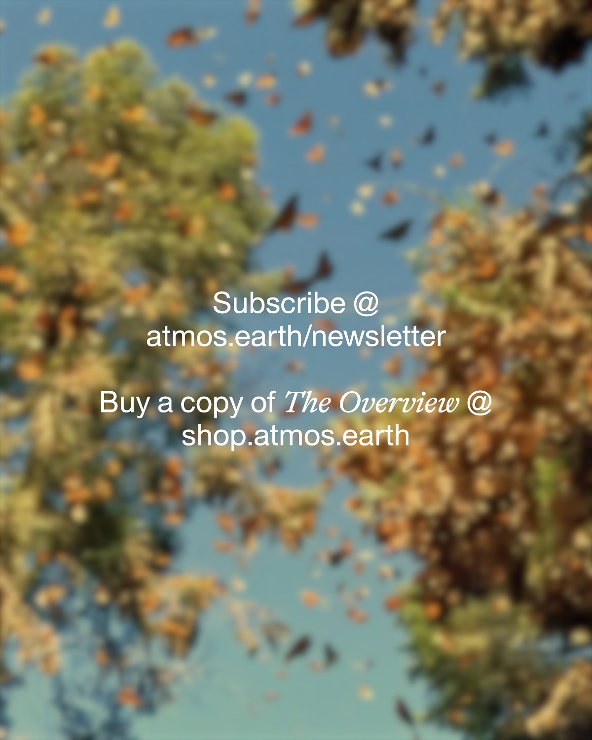 Thumbnail of p-dk18uingxoa-5c76c52baf5a48d4 9