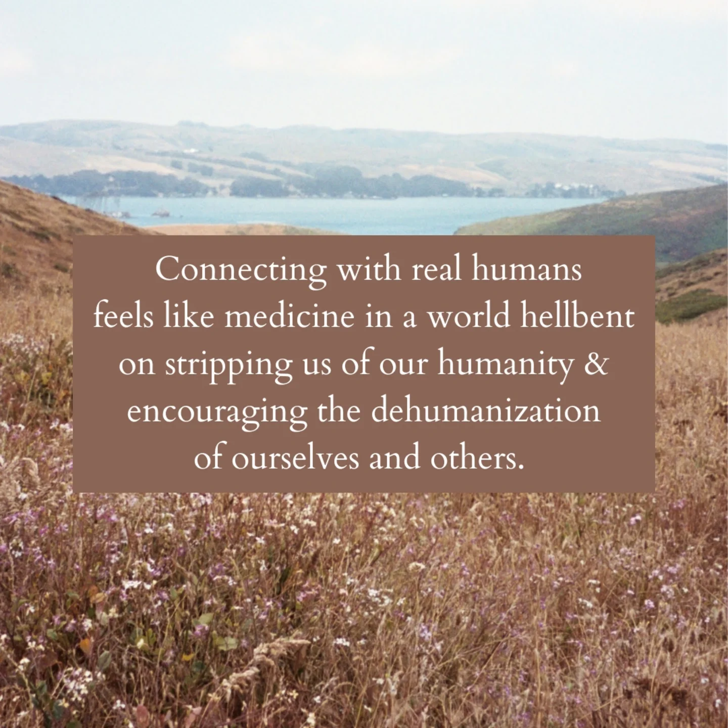 Thumbnail of p-doyzemkevi2-5d7a4cffea9140c7 3