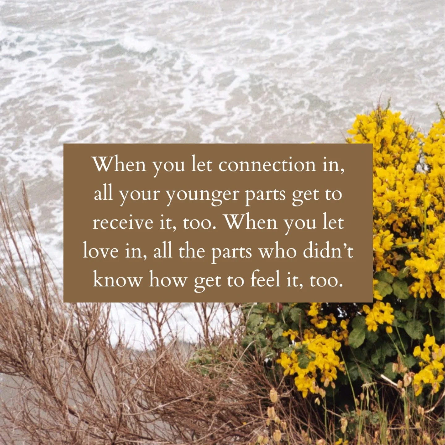 Thumbnail of p-doyzemkevi2-5d7a4cffea9140c7 6