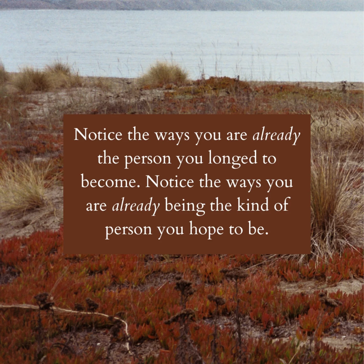 Thumbnail of p-doyzemkevi2-5d7a4cffea9140c7 7