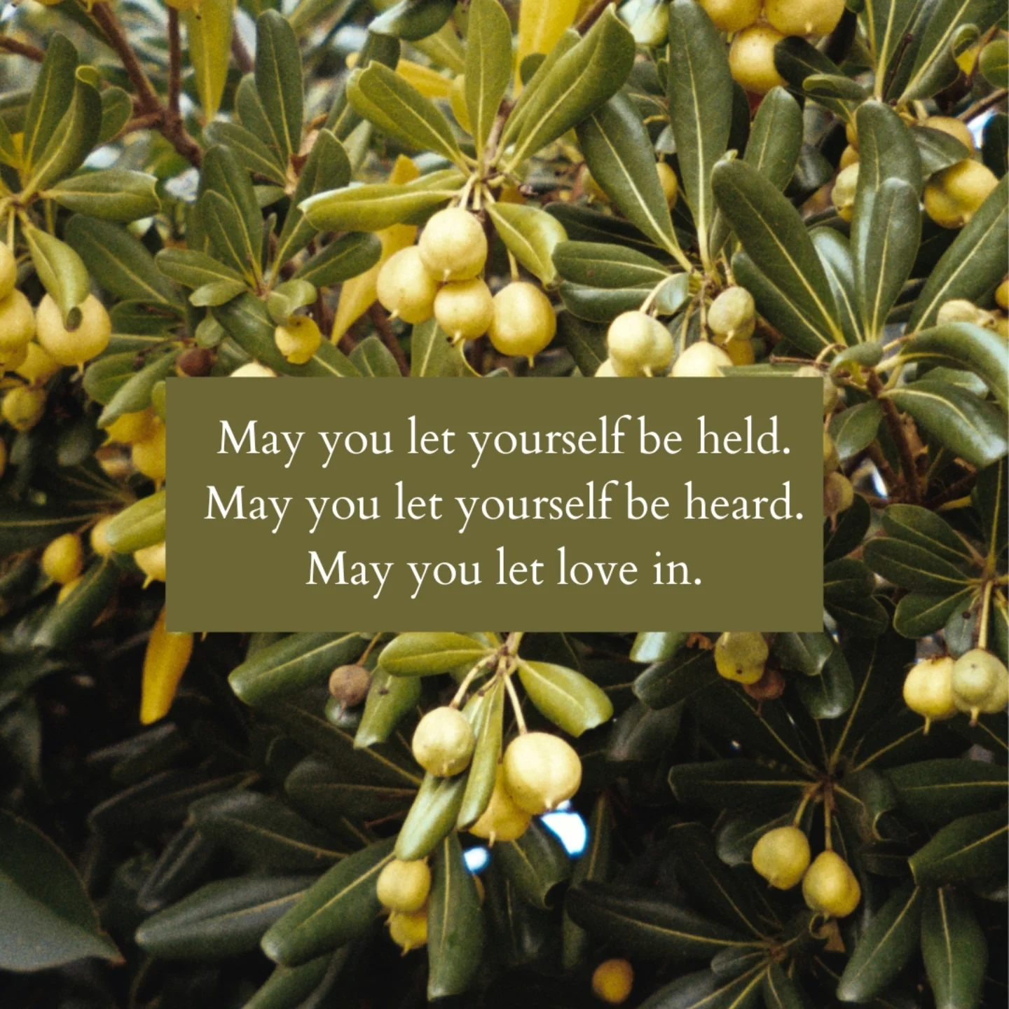 Thumbnail of p-doyzemkevi2-5d7a4cffea9140c7 9