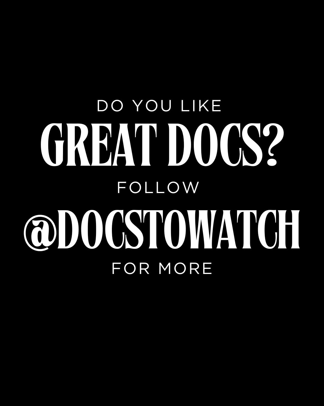 Thumbnail of www-instagram-com-p-dwzjxifgsxn-img-index-2 6