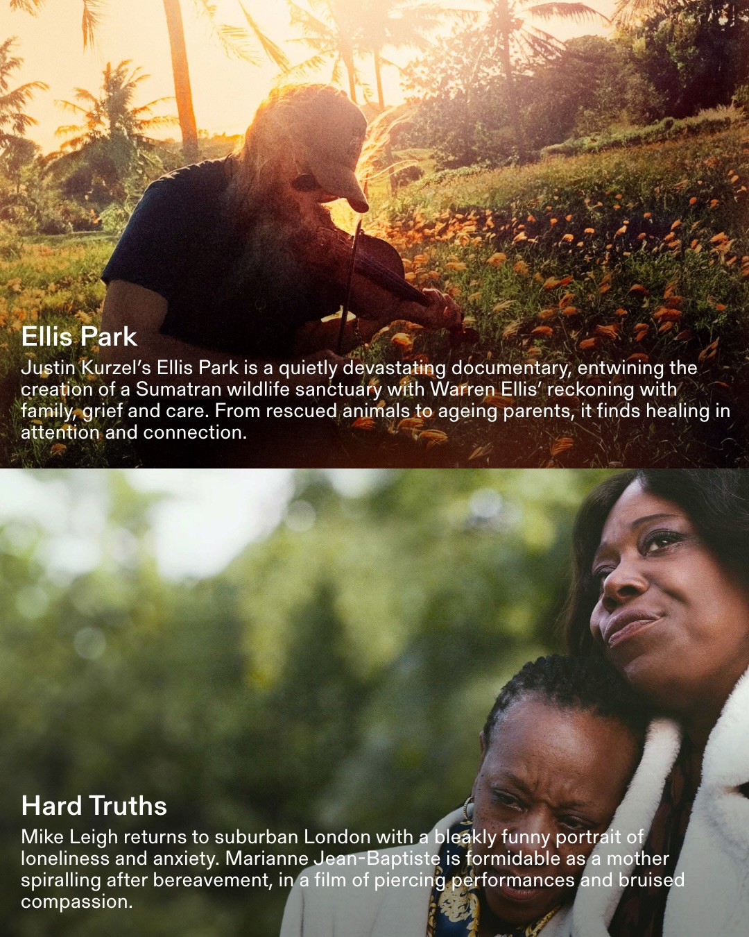 Thumbnail of p-dshoq3bjbtq-5de95ca45e5b493d 5