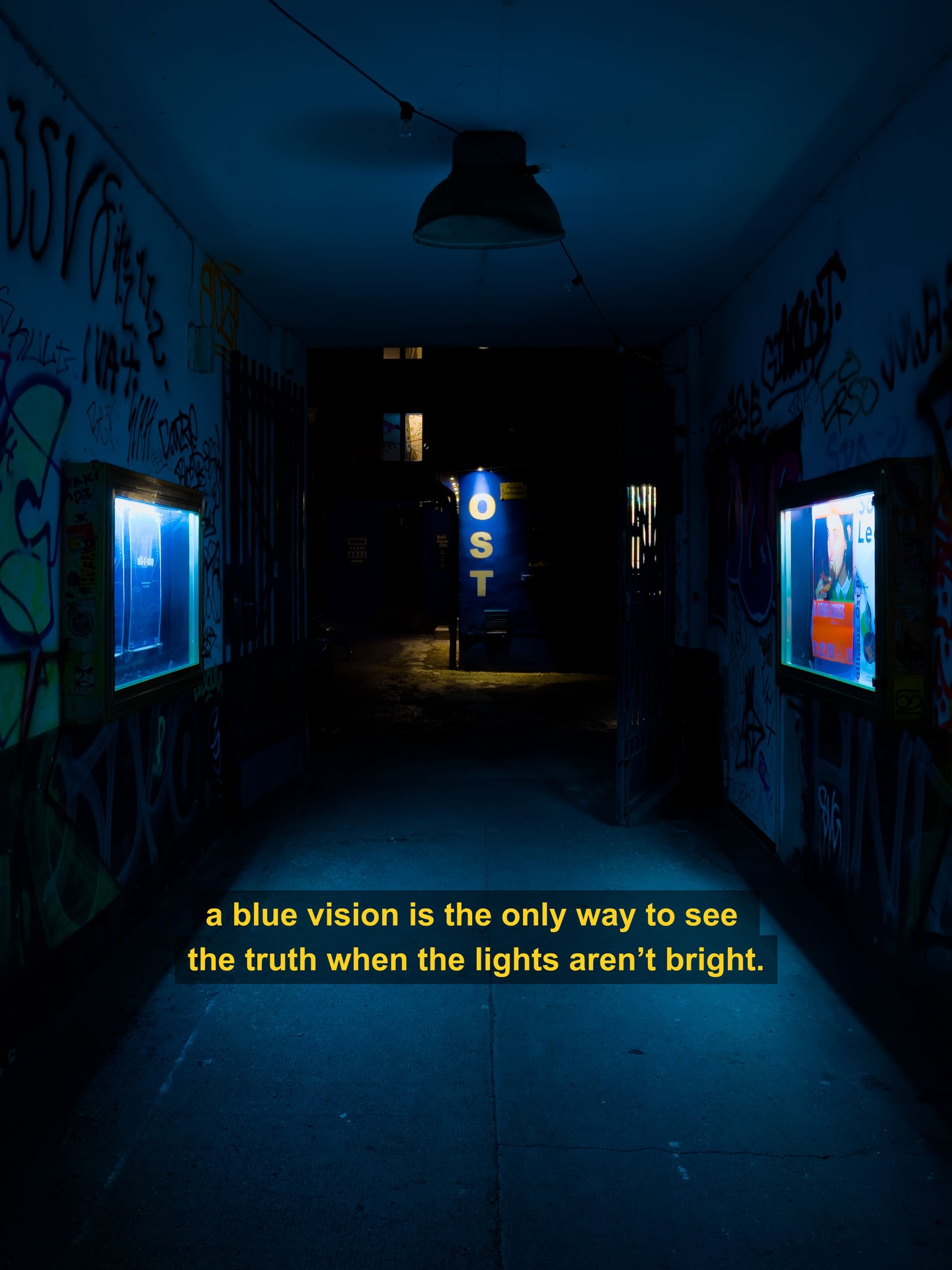 Thumbnail of p-du6tzjldlbs-5e11c8ab762146df 5