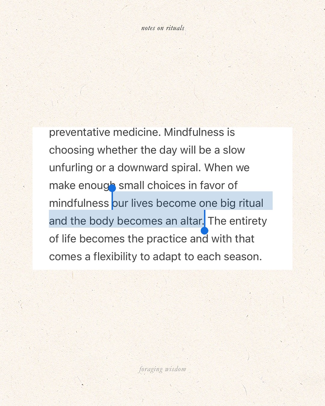 Thumbnail of p-djwgltnsioz-5e911819aa8f499b 11