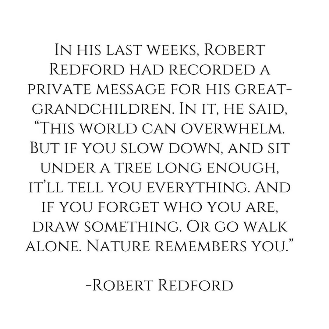 Thumbnail of www-instagram-com-p-dtkoyt5ag-d 0