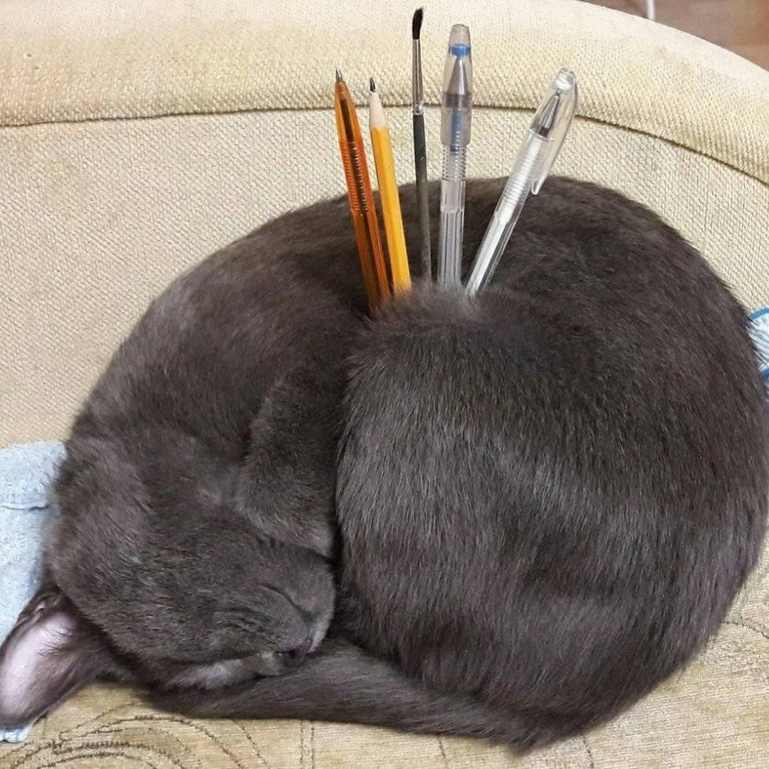 Thumbnail of dj6-prujfwx-60920f26ce384baf 1