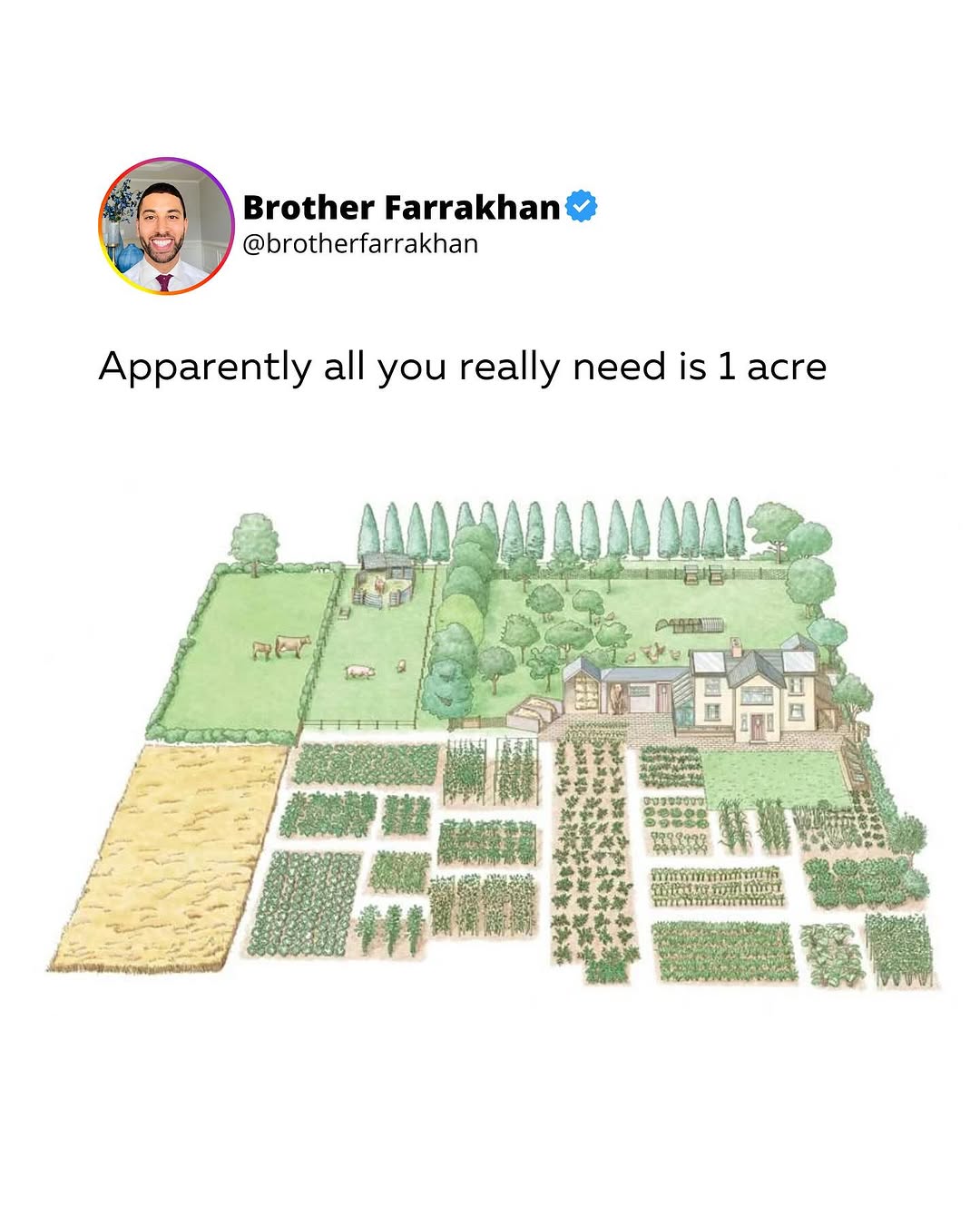 Thumbnail of www-instagram-com-p-dpwkma0j4wd 0