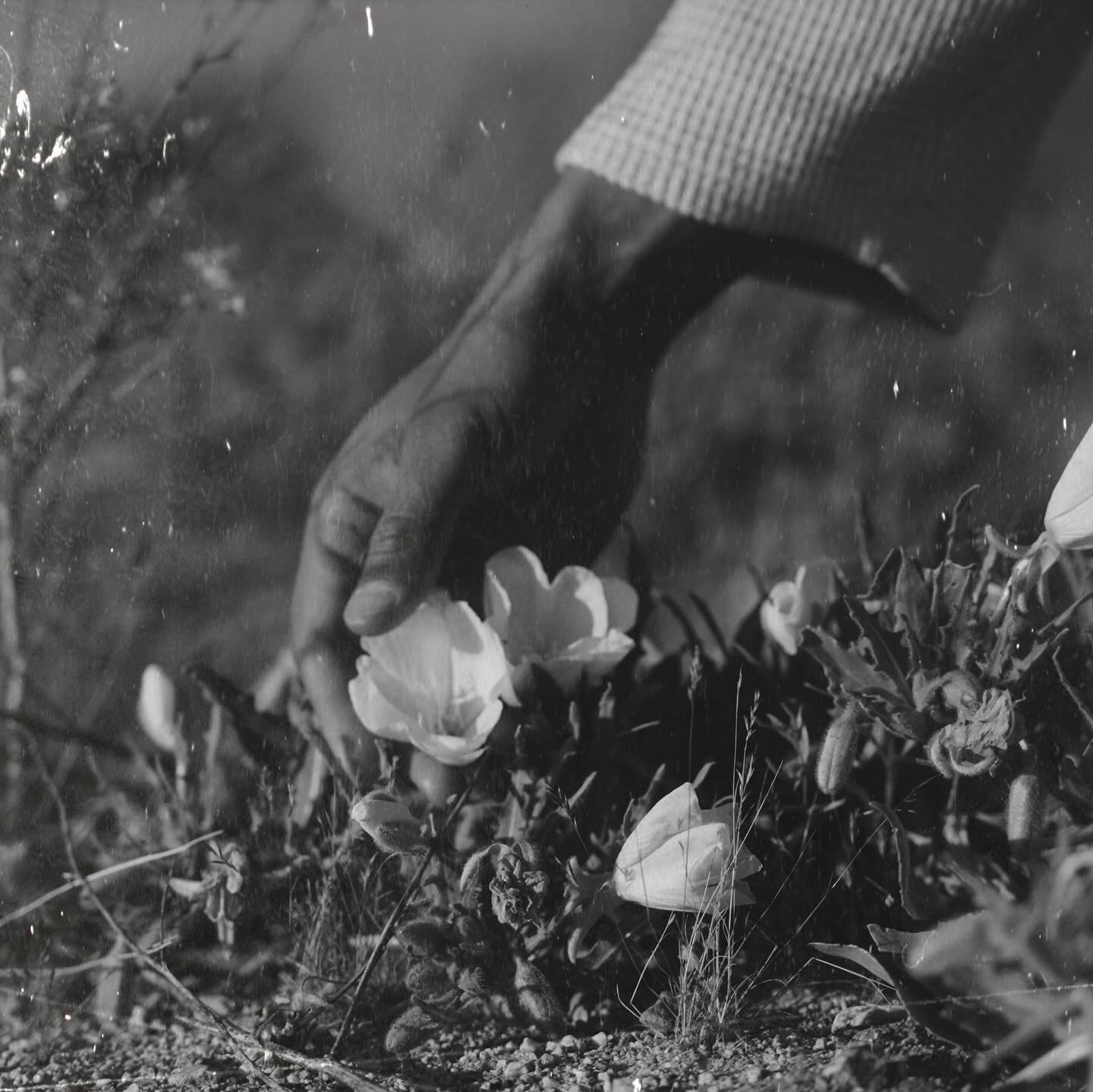 Thumbnail of p-dhztwi5ujfj-621f74de96de41e2 0