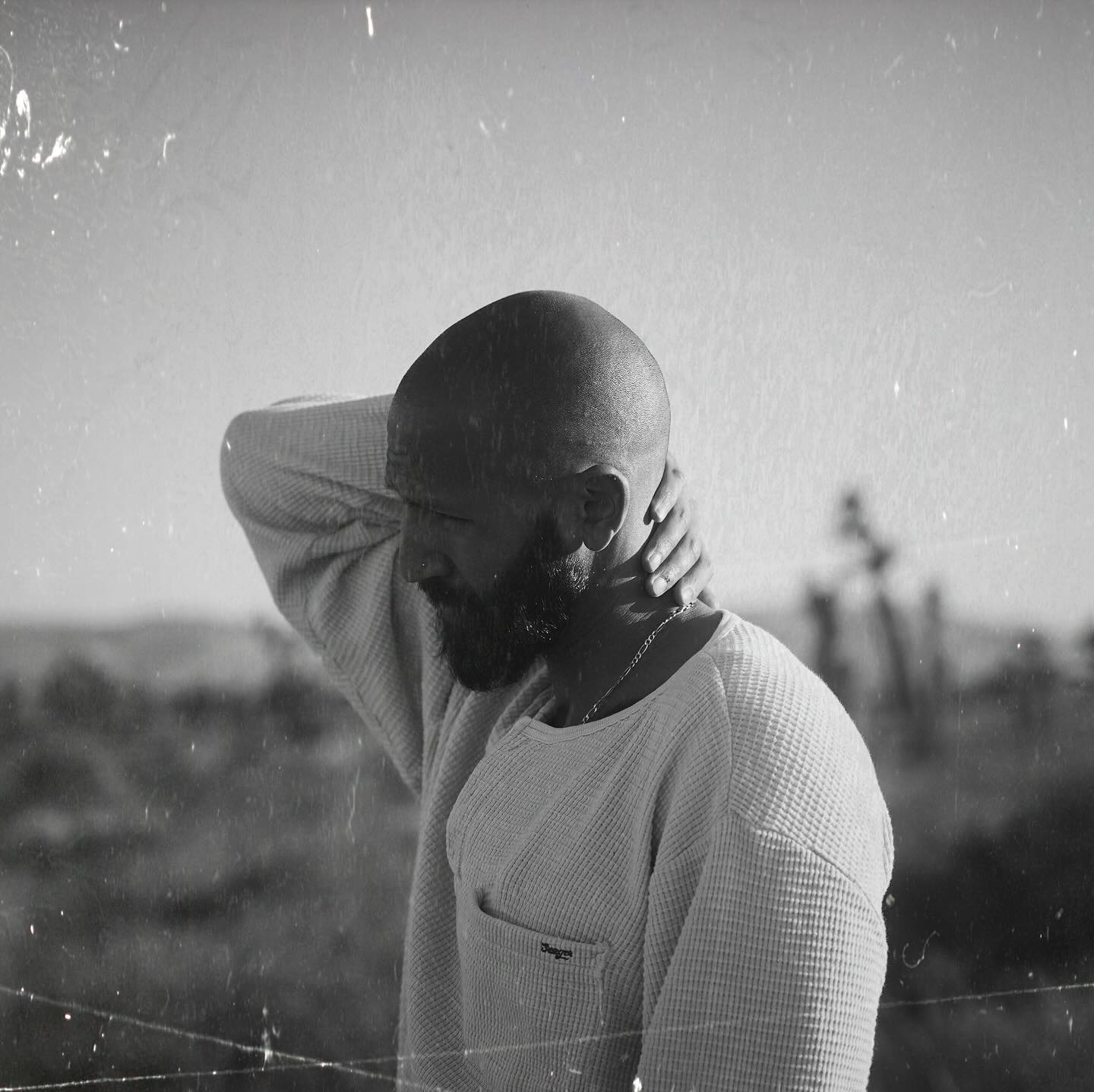 Thumbnail of p-dhztwi5ujfj-621f74de96de41e2 3