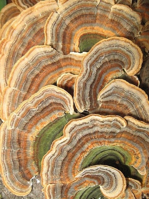 Thumbnail of katelyn-fiber-artist-seedstitcheryco 2