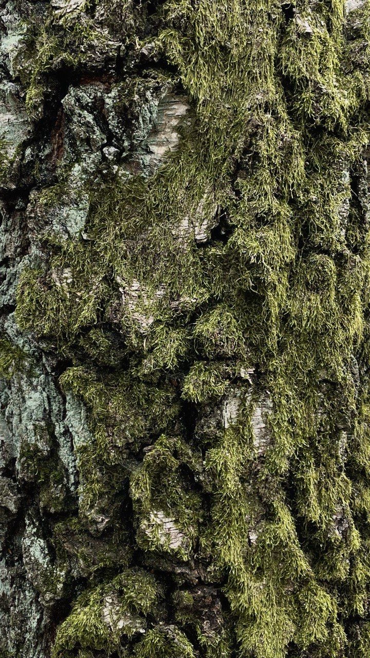 Thumbnail of katelyn-fiber-artist-seedstitcheryco 3