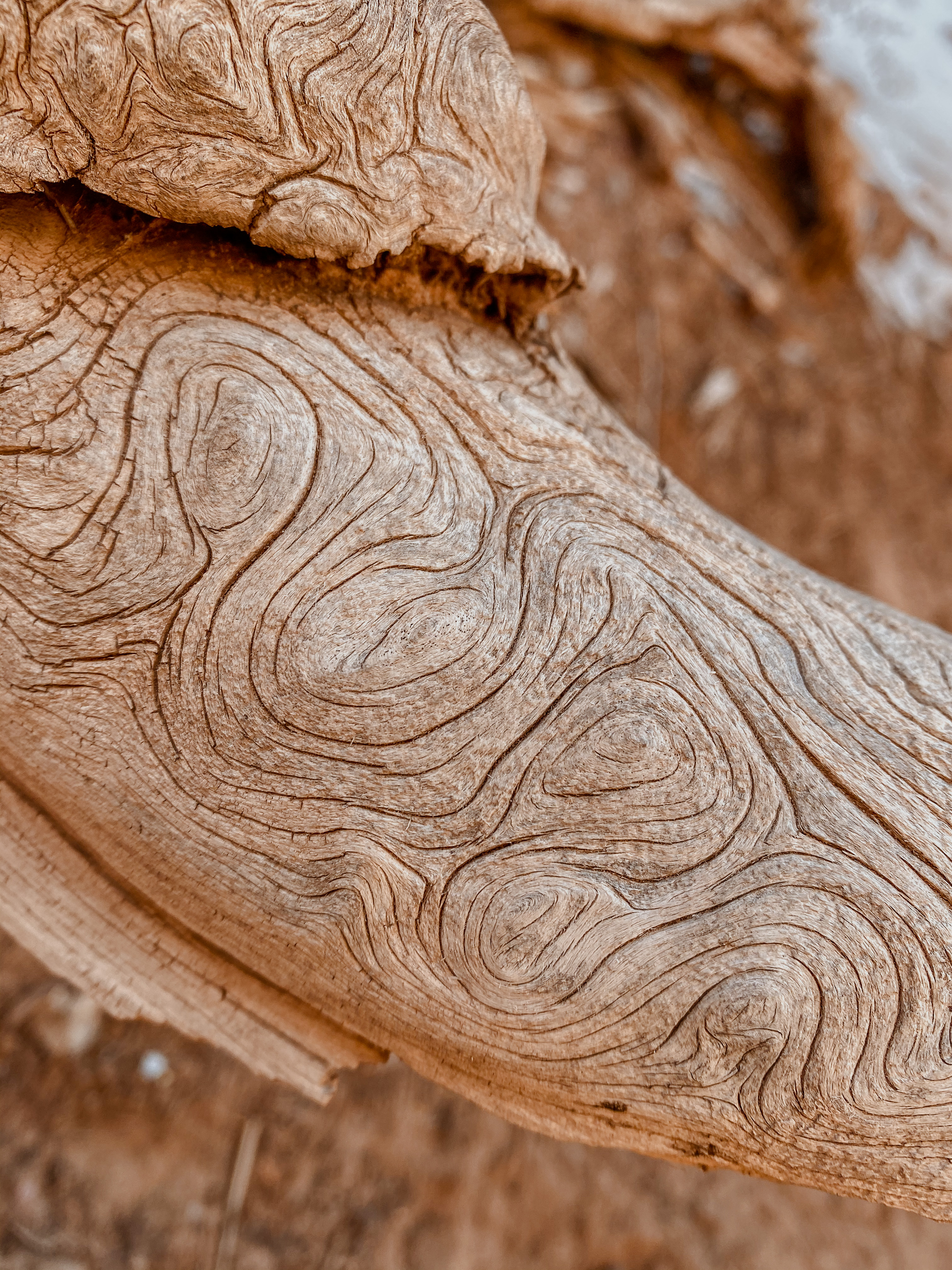 Thumbnail of katelyn-fiber-artist-seedstitcheryco 4