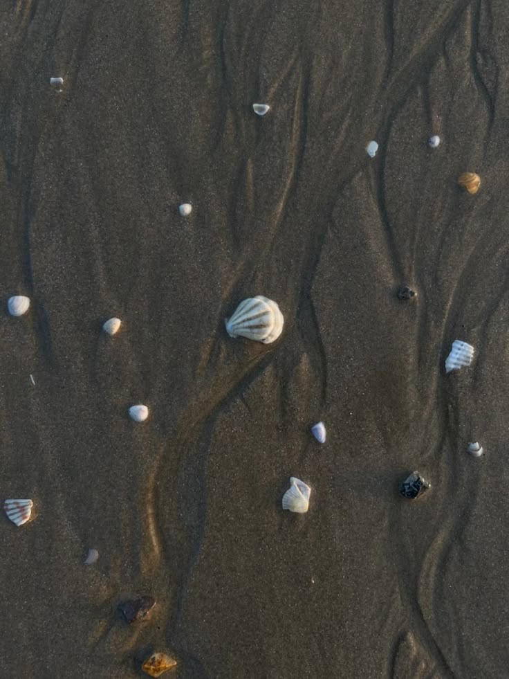 Thumbnail of tiny-scribbles-by-chelsea-jane-tinyscribbles-6438258f6ae5453e 0