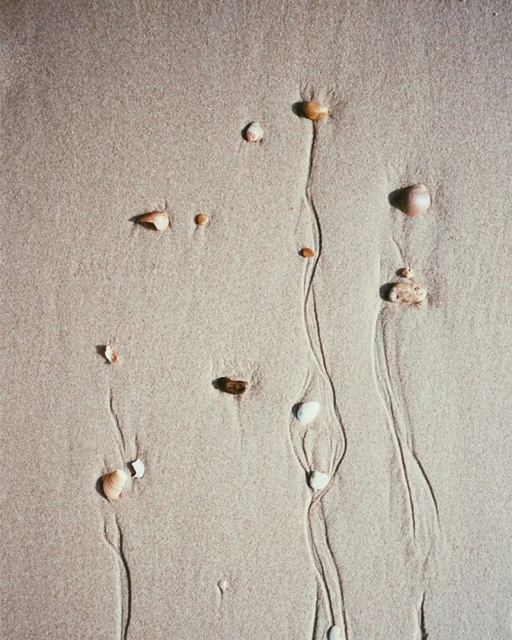 Thumbnail of tiny-scribbles-by-chelsea-jane-tinyscribbles-6438258f6ae5453e 2