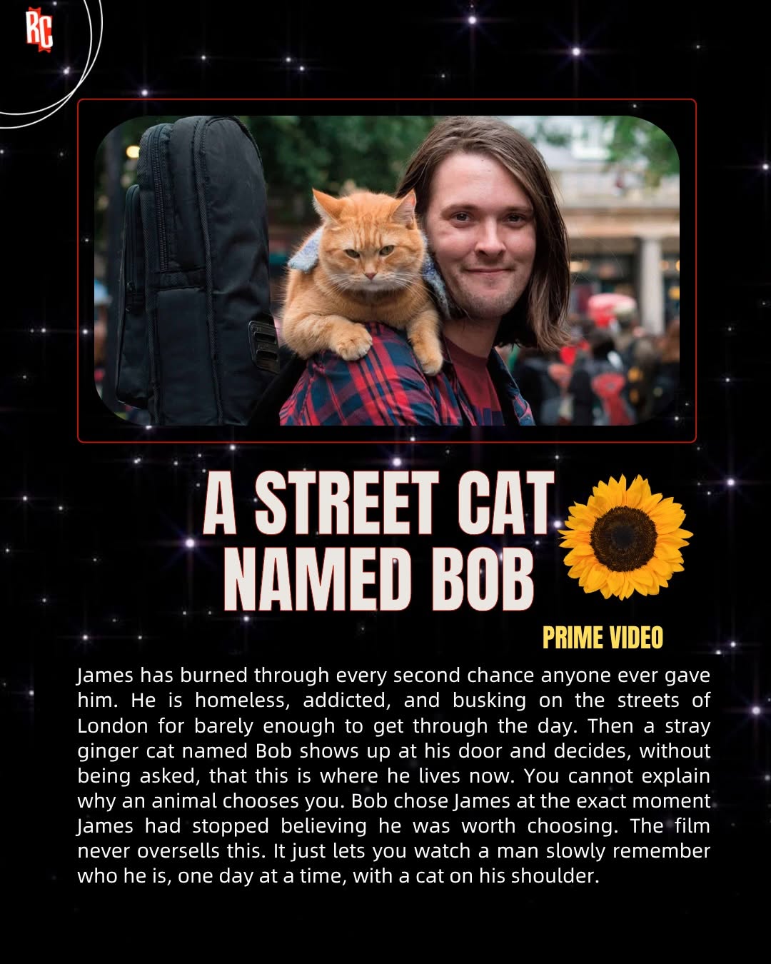 Thumbnail of www-instagram-com-p-dwmlerydipn 3