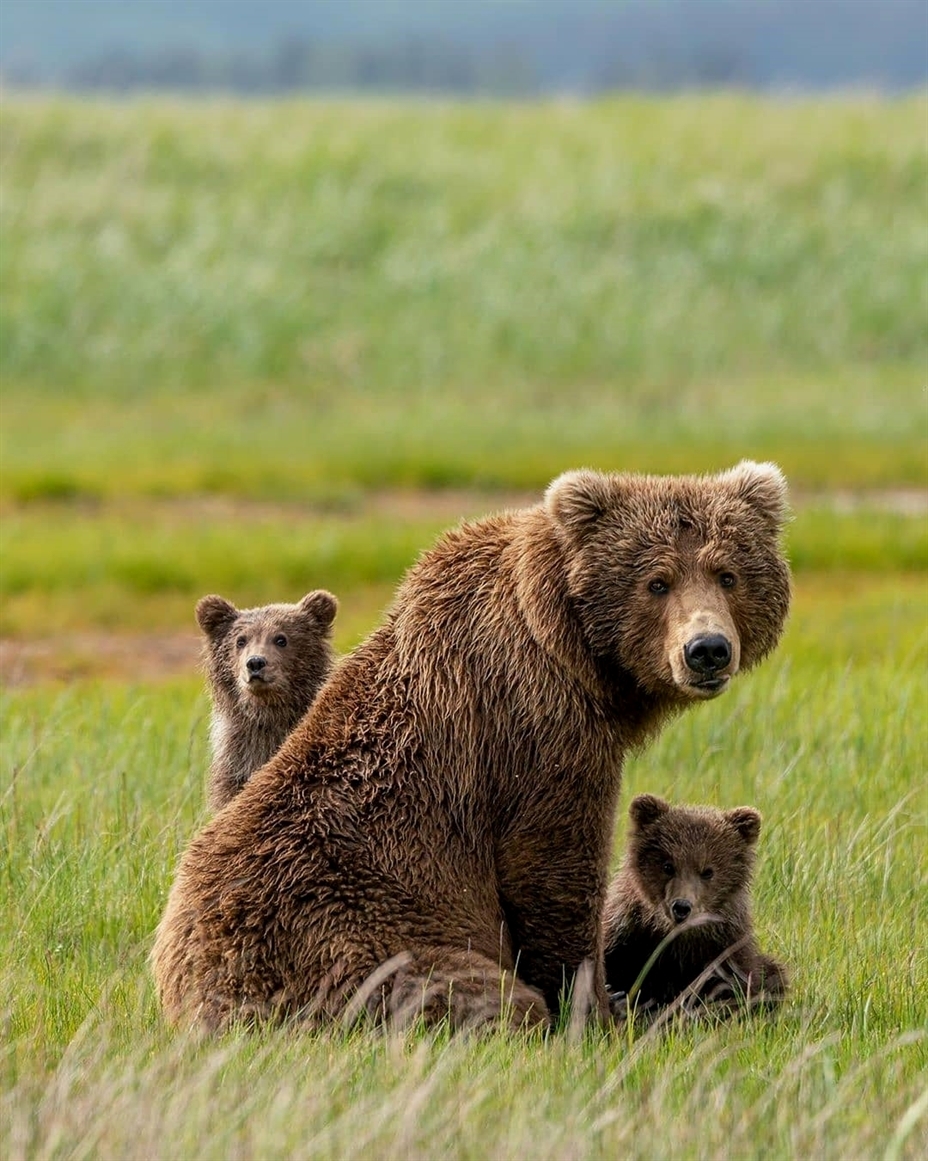 Thumbnail of p-b8fcyilacl5-6812673041b247b3 0