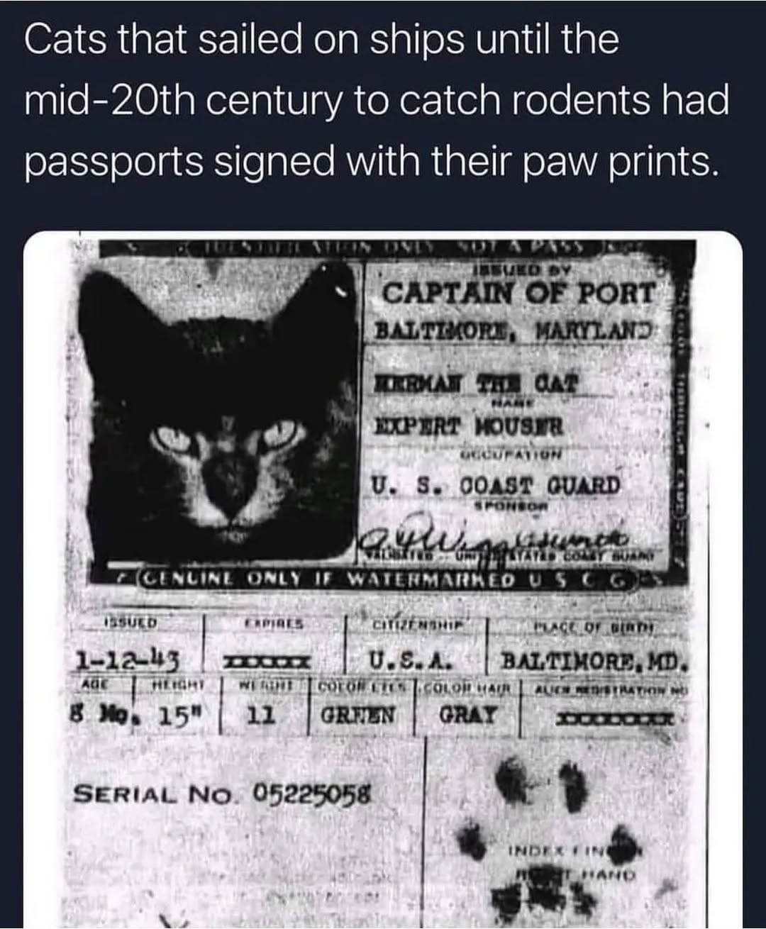 Thumbnail of p-cuukeguoyld-69b1370dd1f04687 0