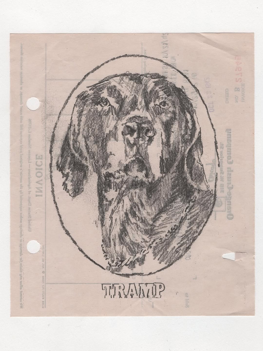 Thumbnail of www-instagram-com-p-dsgfwzreqoz 5