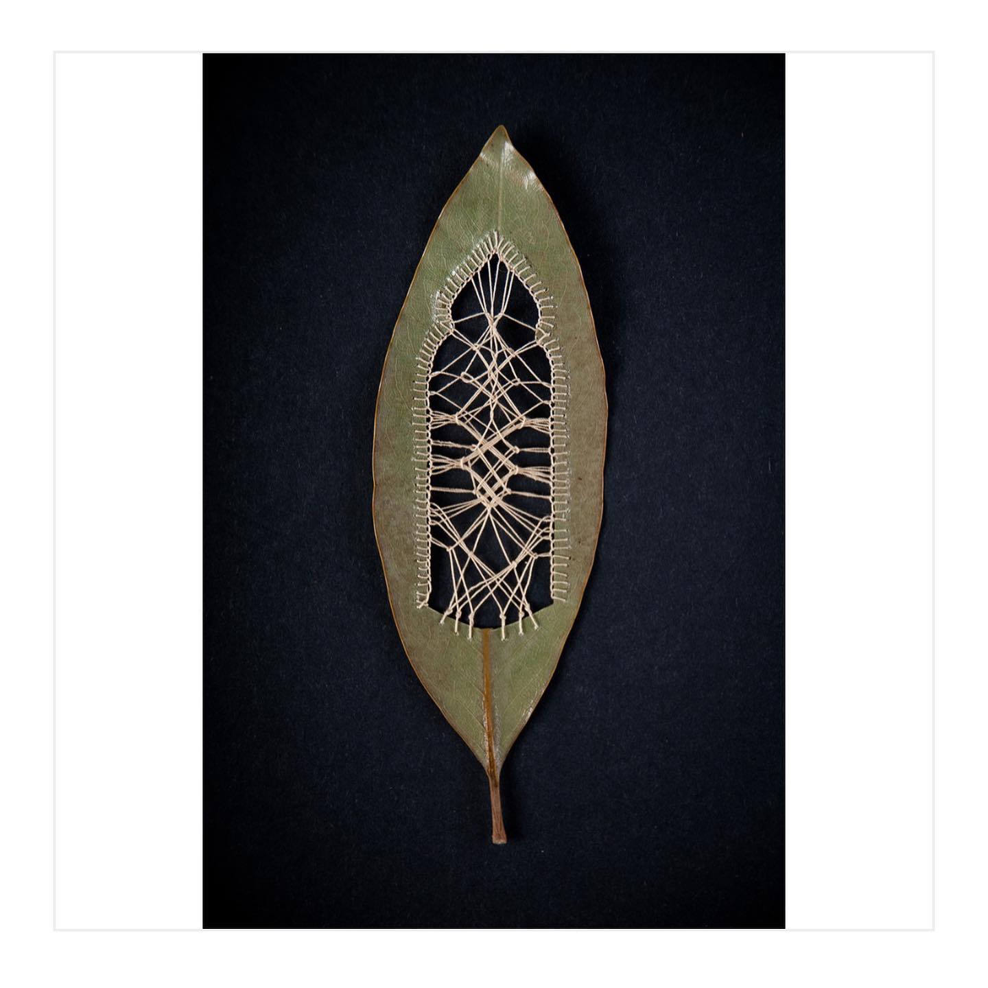 Thumbnail of p-cwahsuqlsdj-6b063baf5d824afb 9