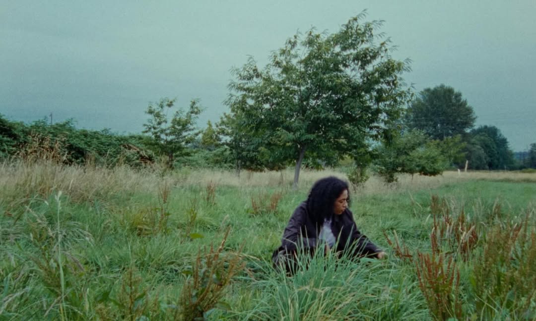 Thumbnail of www-instagram-com-p-drs2vhujvyw 2